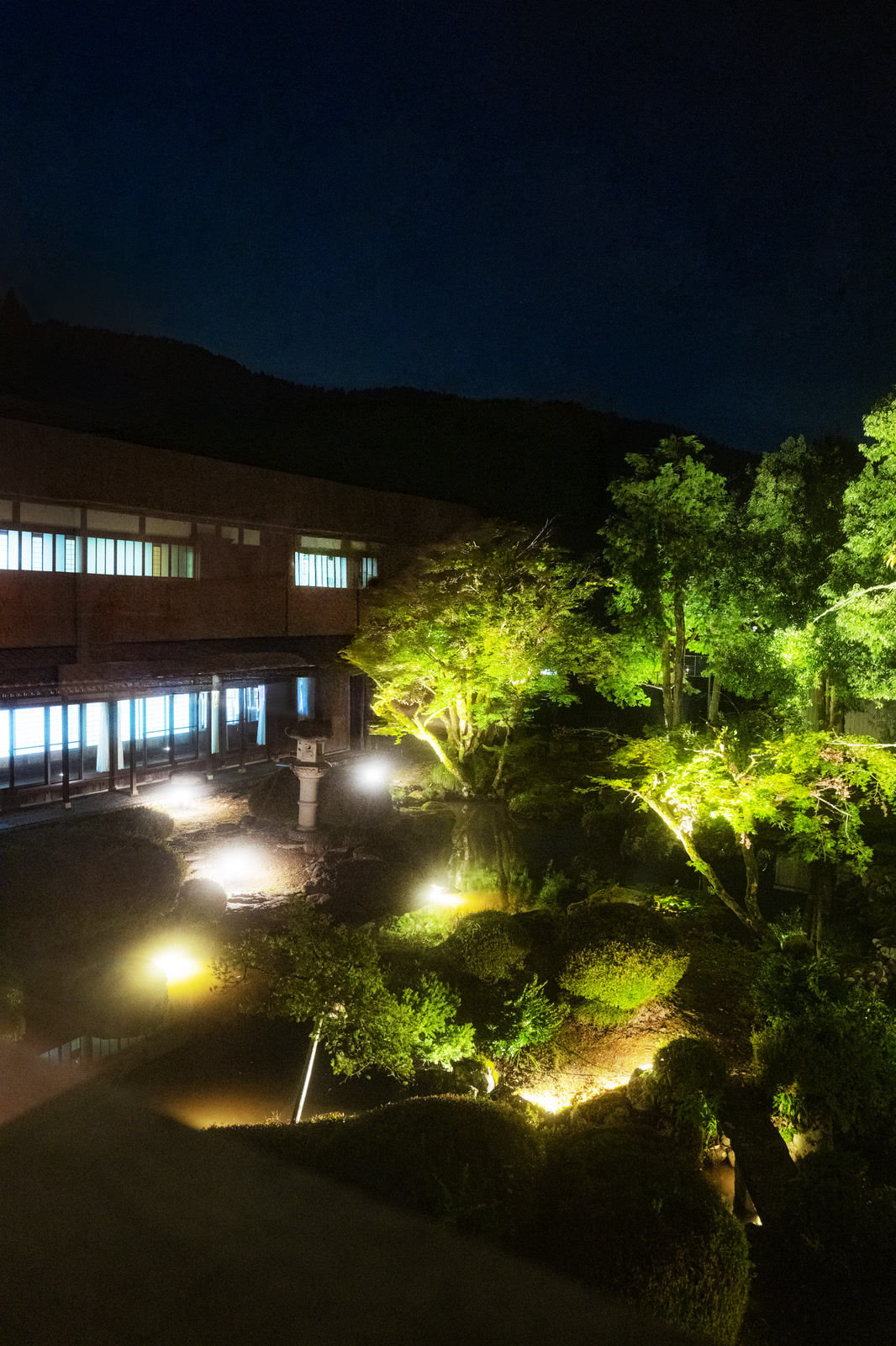 照亮树木的夜间庭园