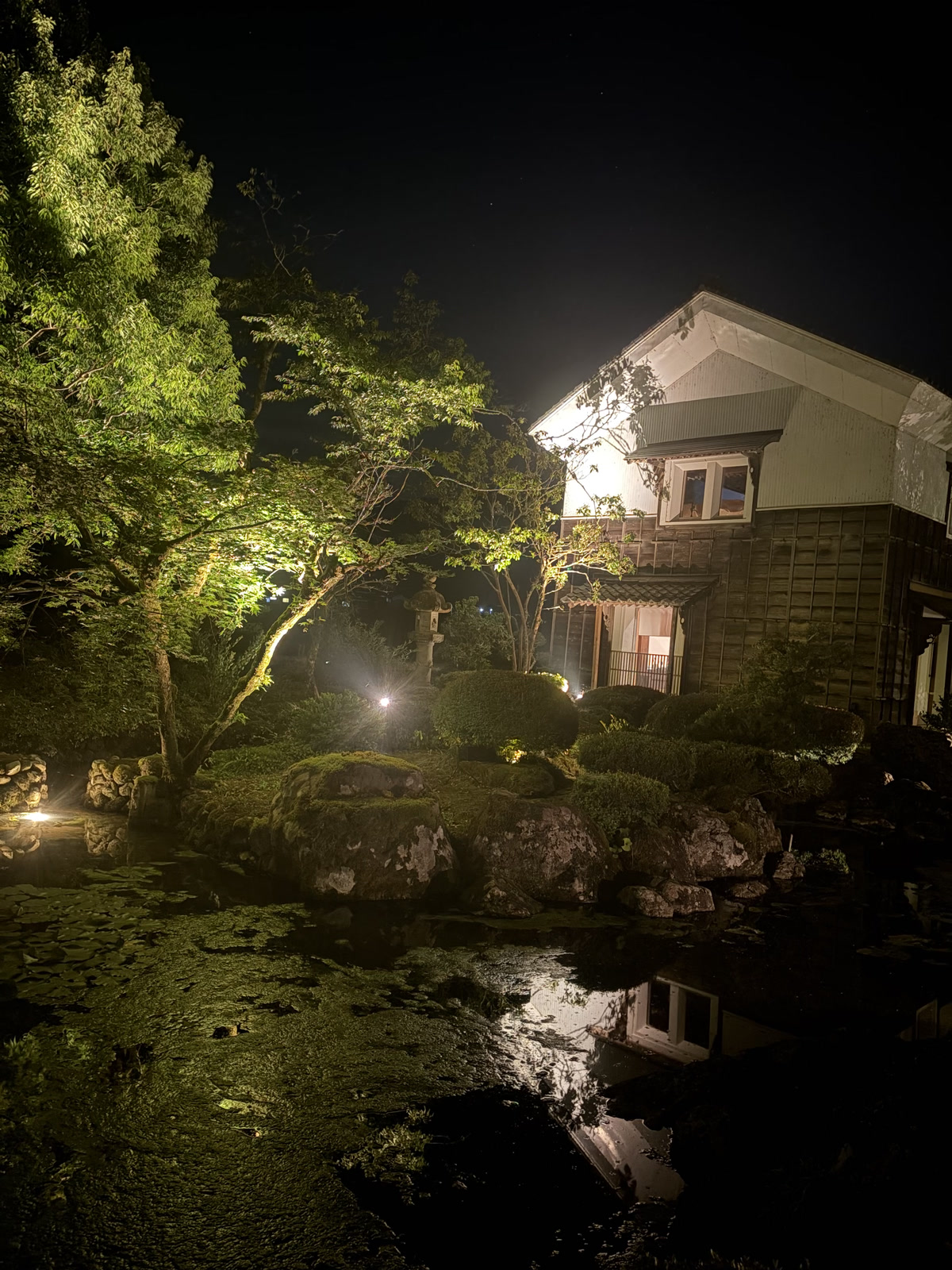 夜间点灯的庭园