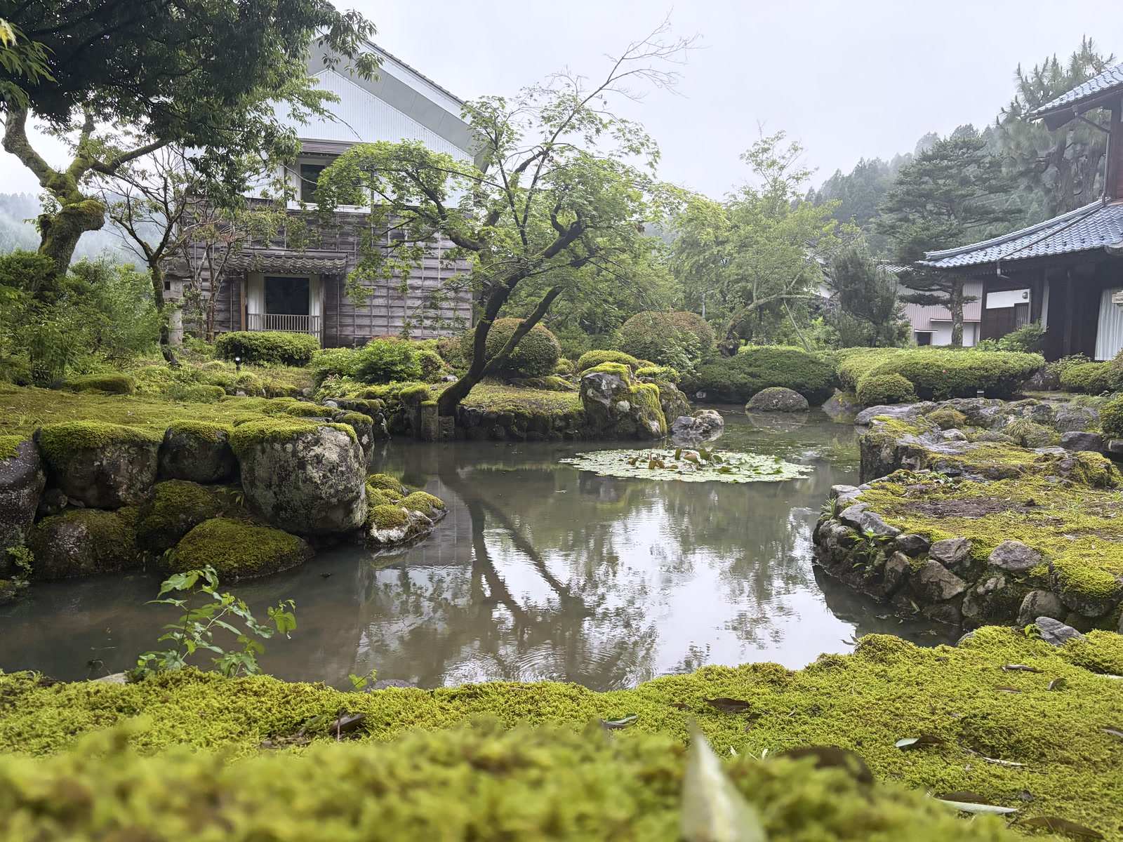 布满青苔的池泉庭园