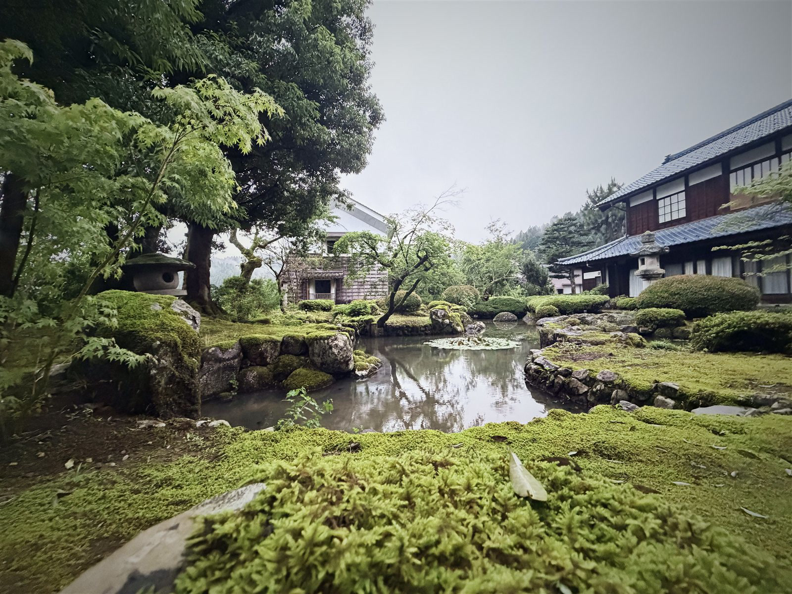 雨后的苔庭与池塘