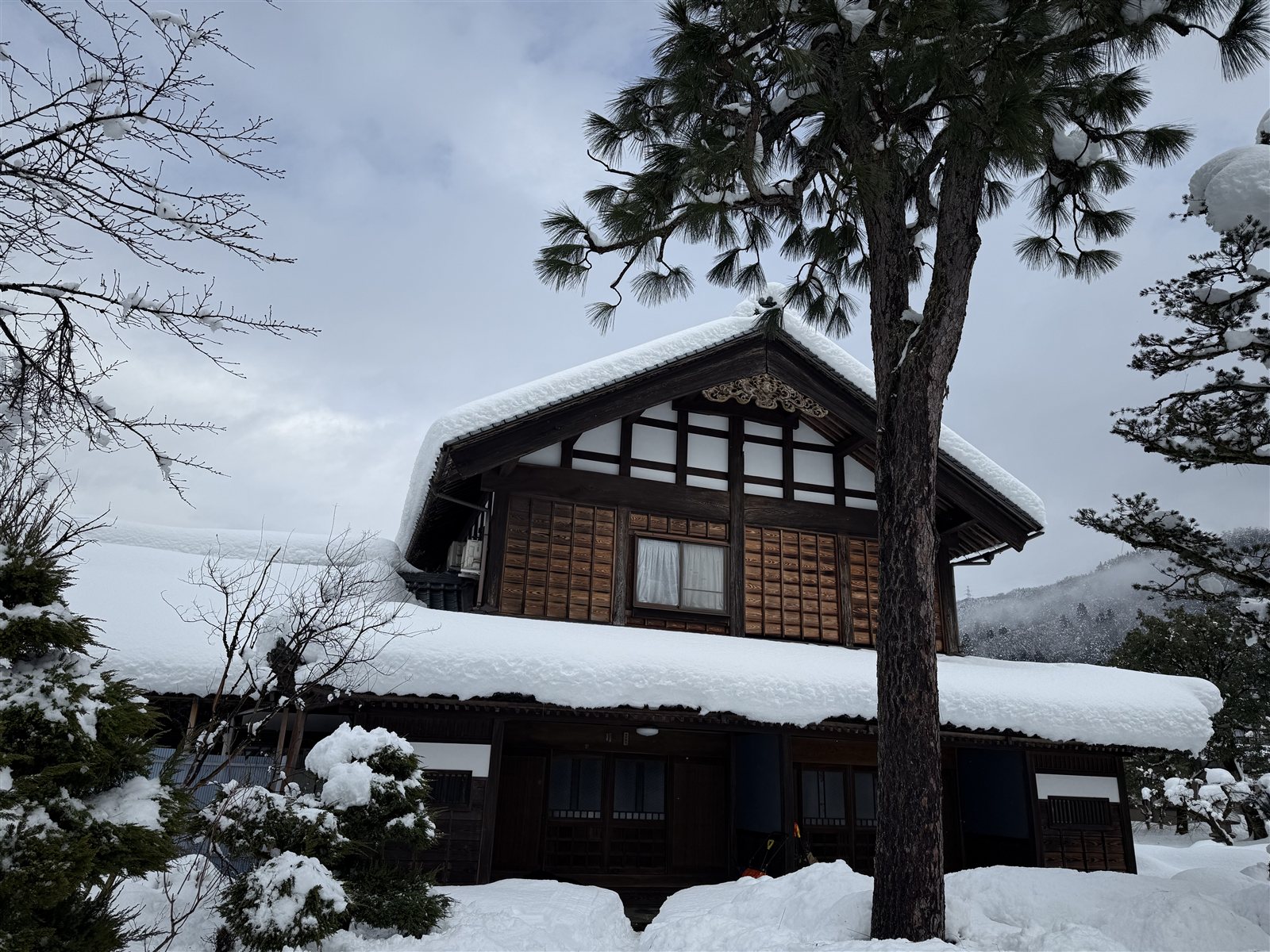 雪中的主屋与松
