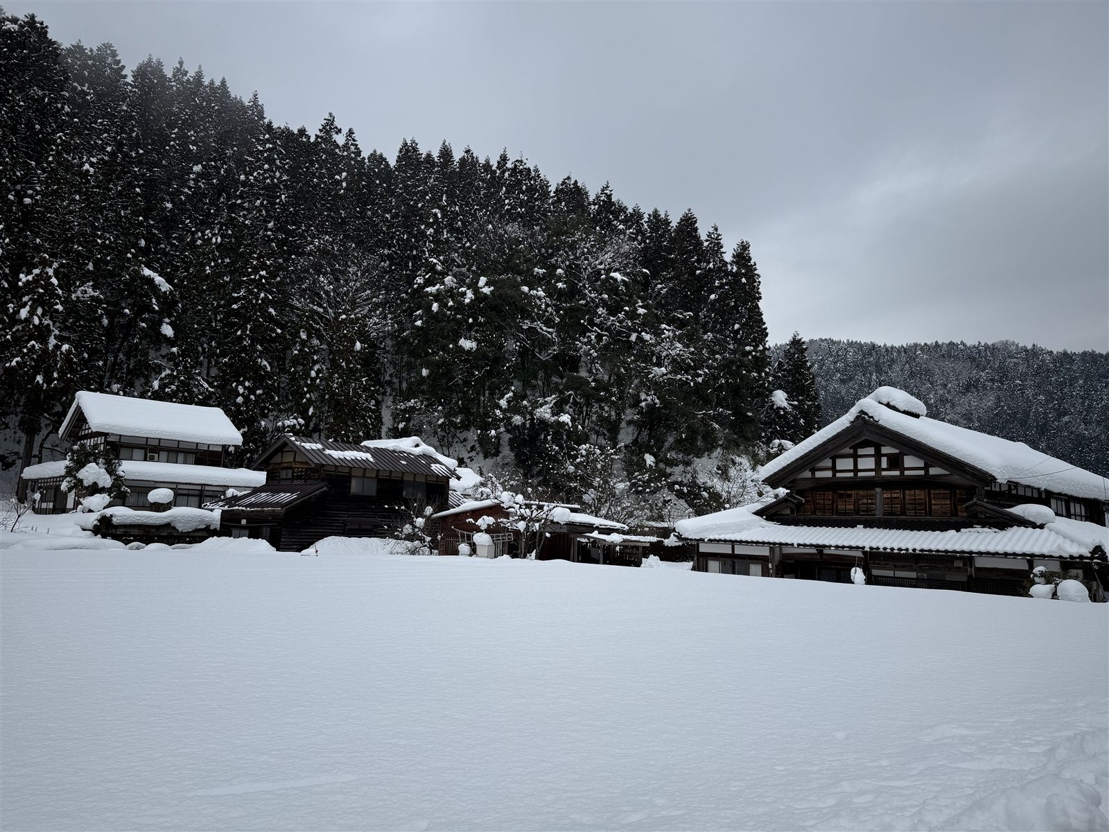 雪中的一乘谷村落