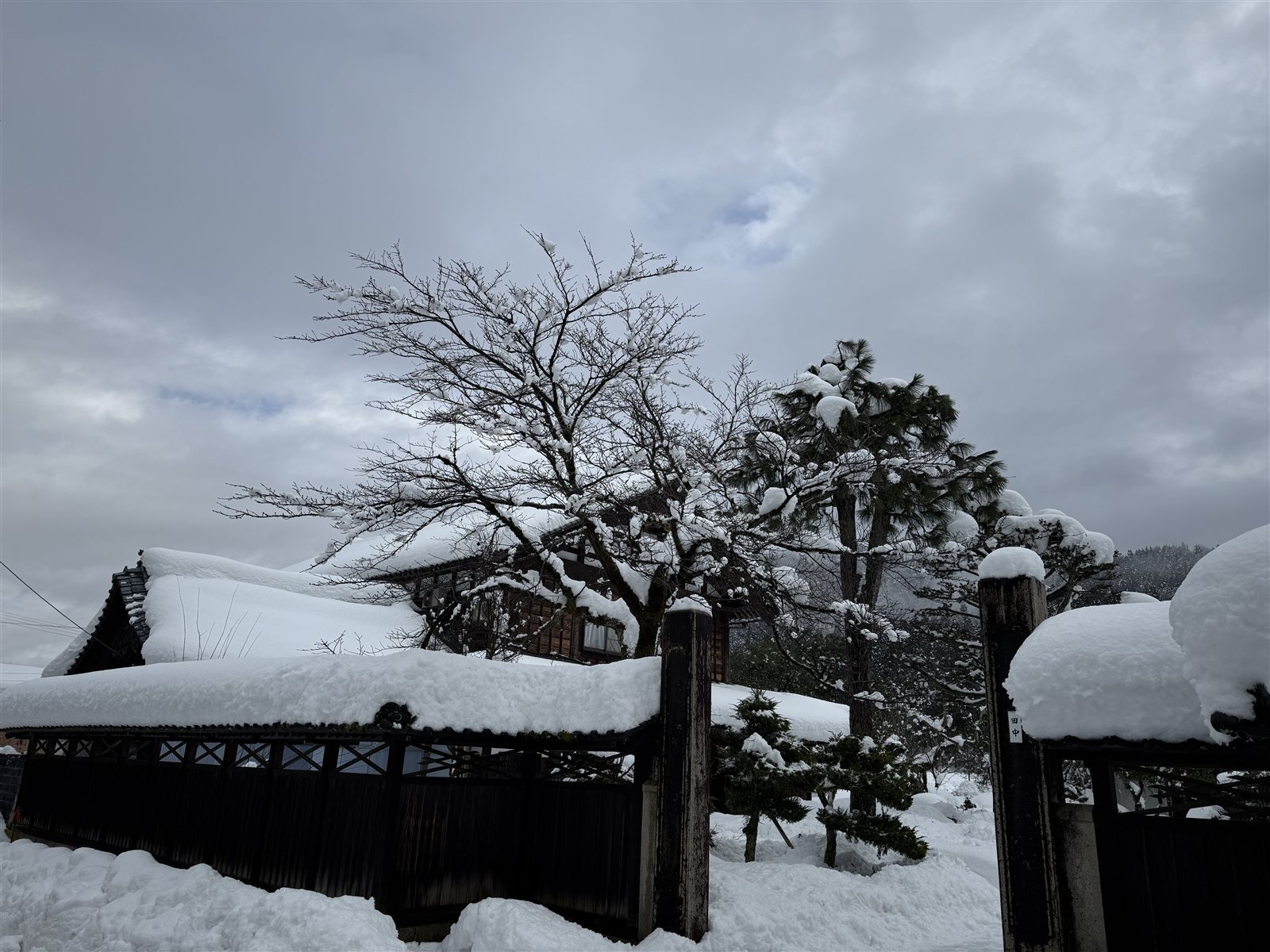 积雪的庭园门
