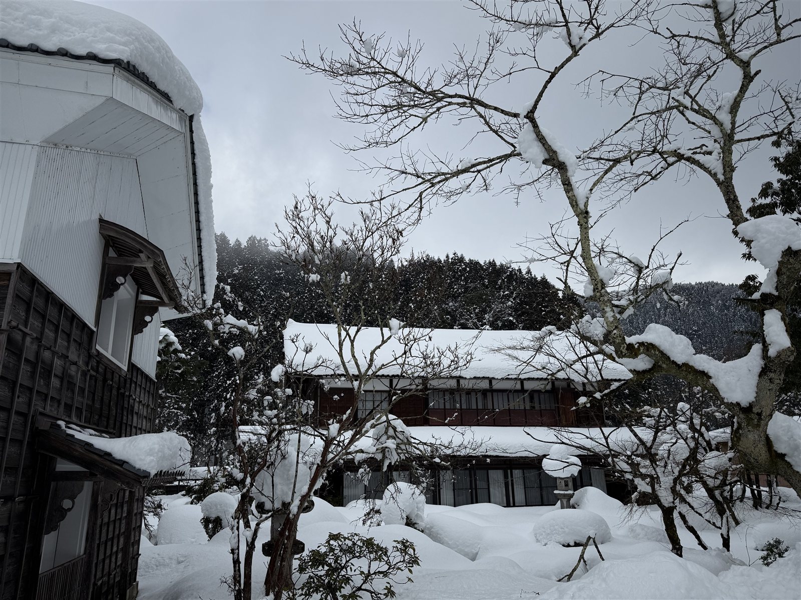 雪中庭园