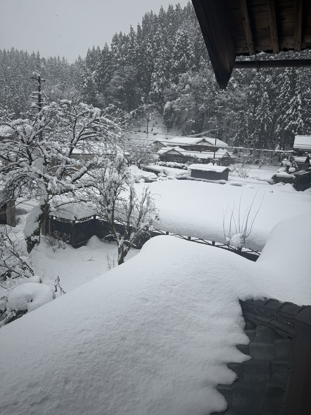 被雪掩埋的庭园
