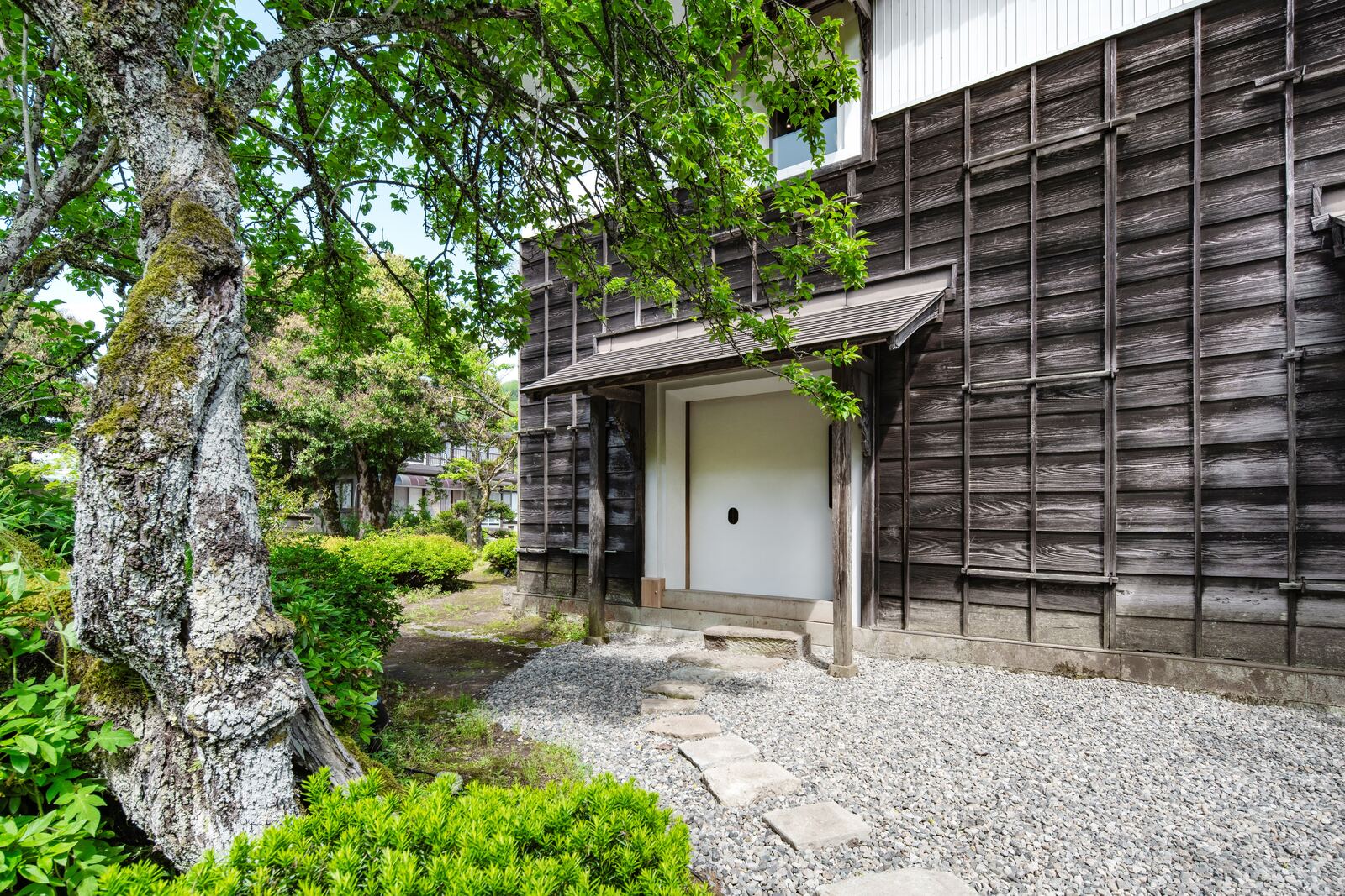 Ichijodani Saku